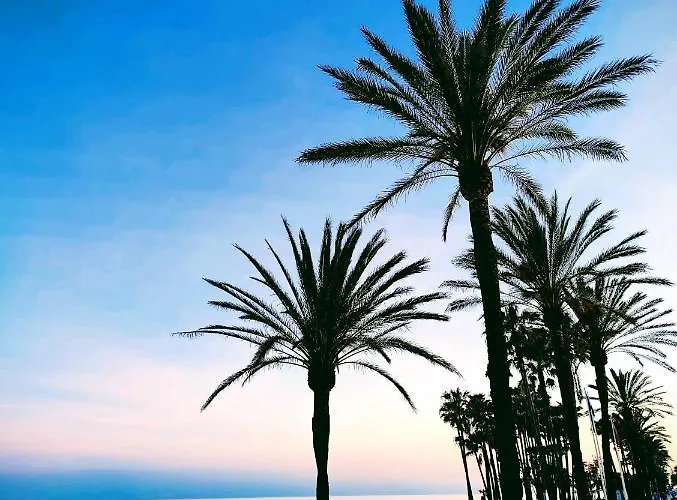 Apartament 4814 з Bedrooms San Pedro *